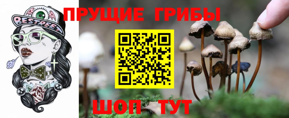 Псилоцибиновые грибы Psilocybe Назарово